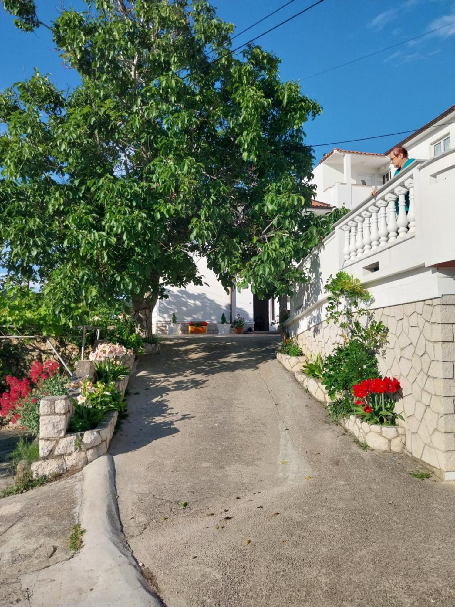 סופטרסקה דראגה Ljubica Apartments And Rooms מראה חיצוני תמונה